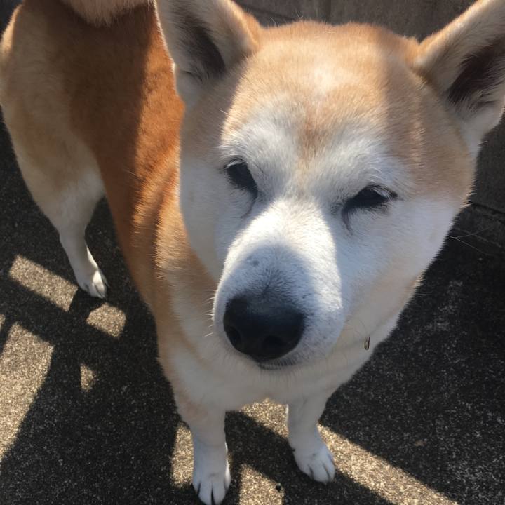 9e5f788d c3fc 4f57 a7e7 38e12d47a8e4