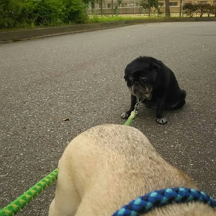 9e5fa4fc bd21 4a7c 8a7e db709d9b4c9b