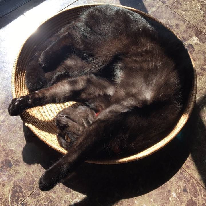 9e5ff031 05de 473c 980e 29be46db4a69