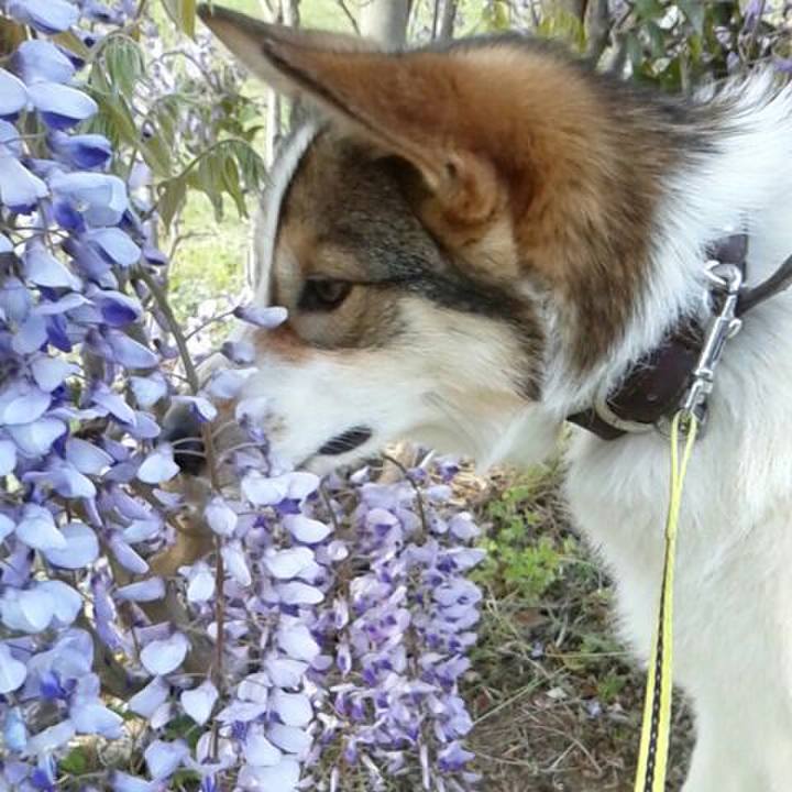 9e60865d 696d 46da a3da bb8d2a9c1fa5