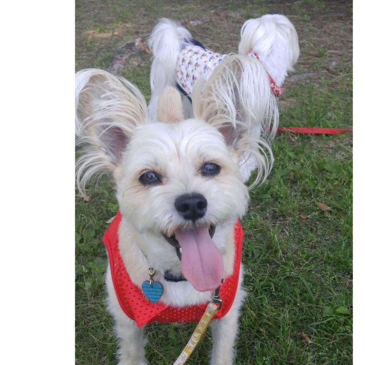 9e609452 d77f 4b99 b1f0 35fd113980ba