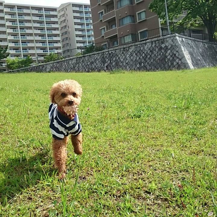 9e6175ef a33c 4203 8b6b 41f8524f738a