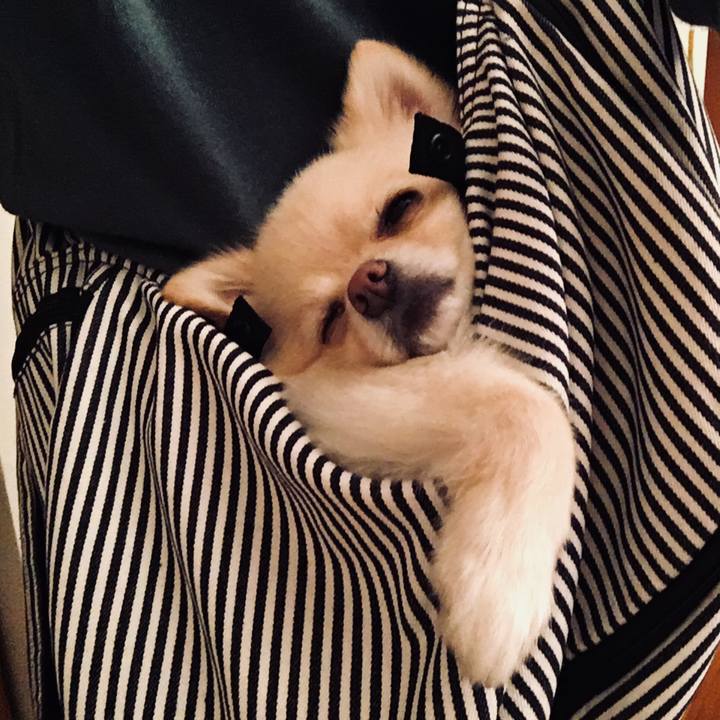 9e618831 ee29 439c 8dc4 c02dd4747374