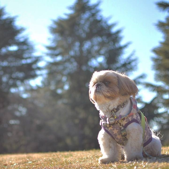 9e61b195 2a82 4e75 bbc4 2346c4842c58