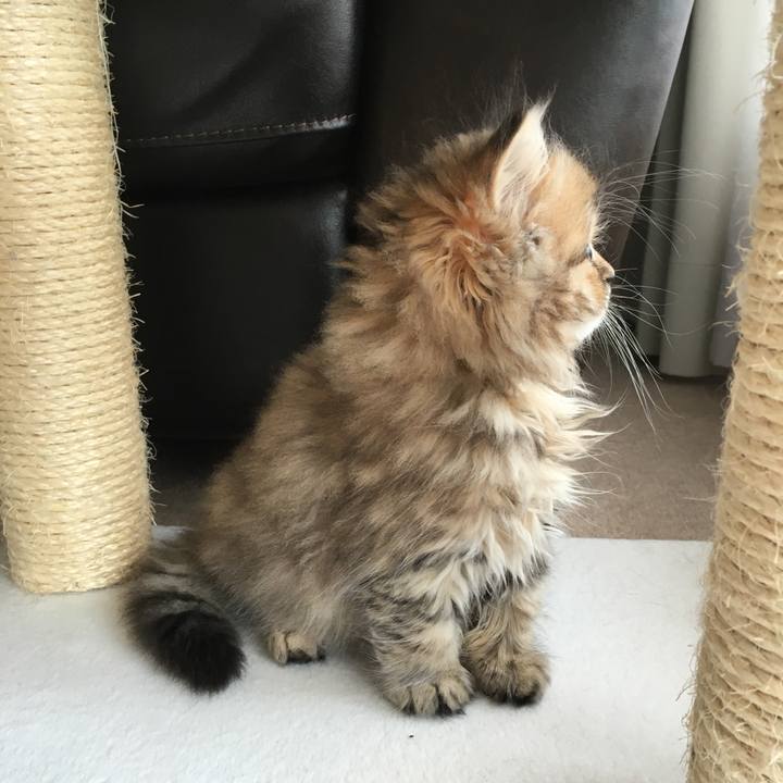 9e61c2d3 25d1 43af 8524 93929f7deda0