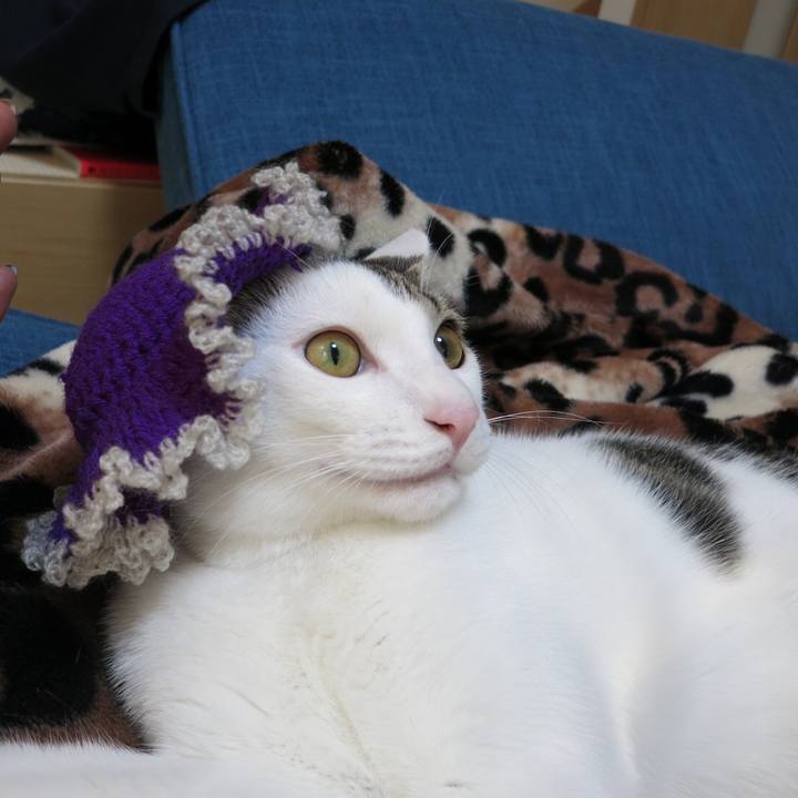 9e62d414 95ae 42f3 a972 1e739508f9f8