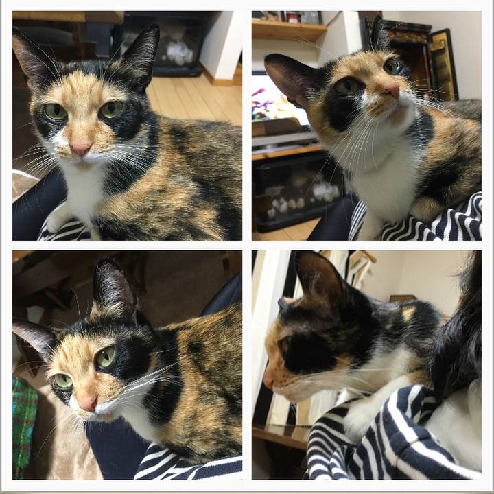 9e633b77 f841 4b86 b5f6 2bac84ccfadf