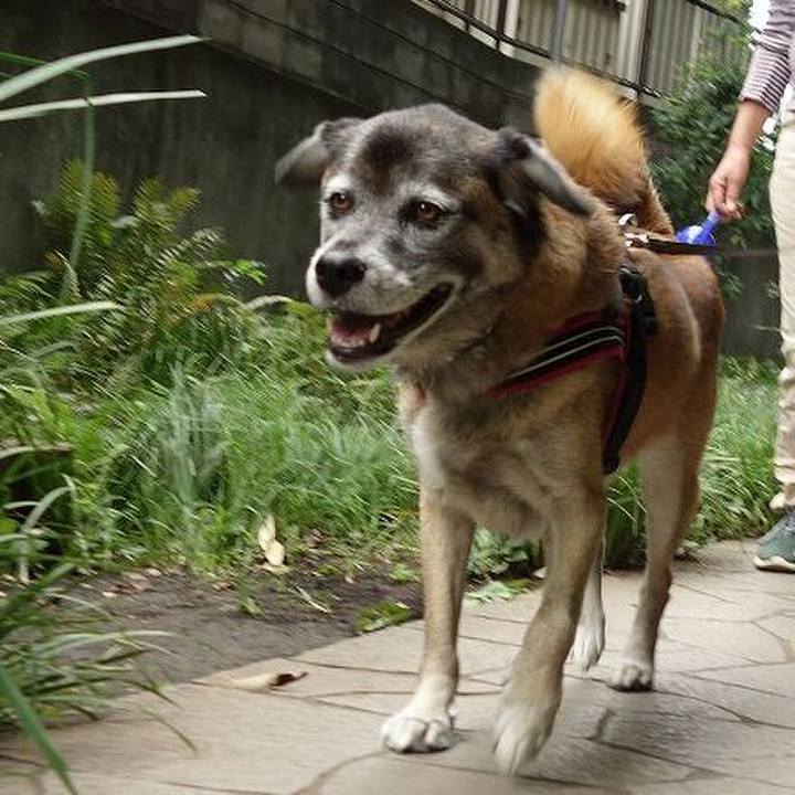 9e639666 5aaa 4d60 a9a2 bdeb6edc6ffa