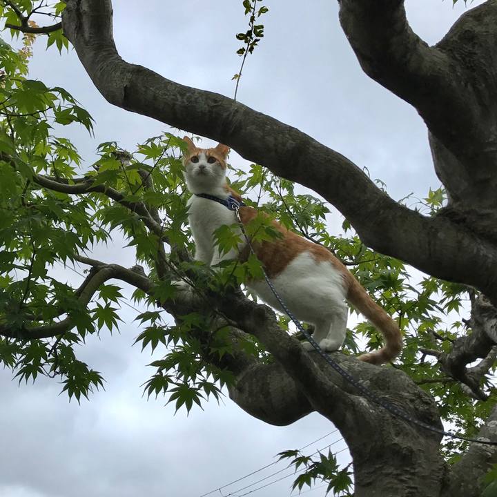 9e63f871 dd16 41fc 9441 fc7629a342b4