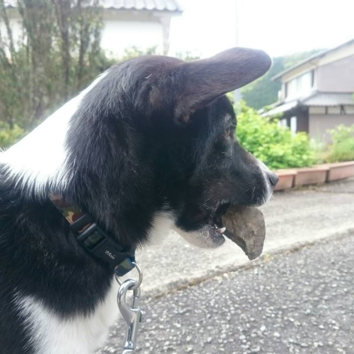 9e651076 6d61 4154 9ea5 7e3045247e0d