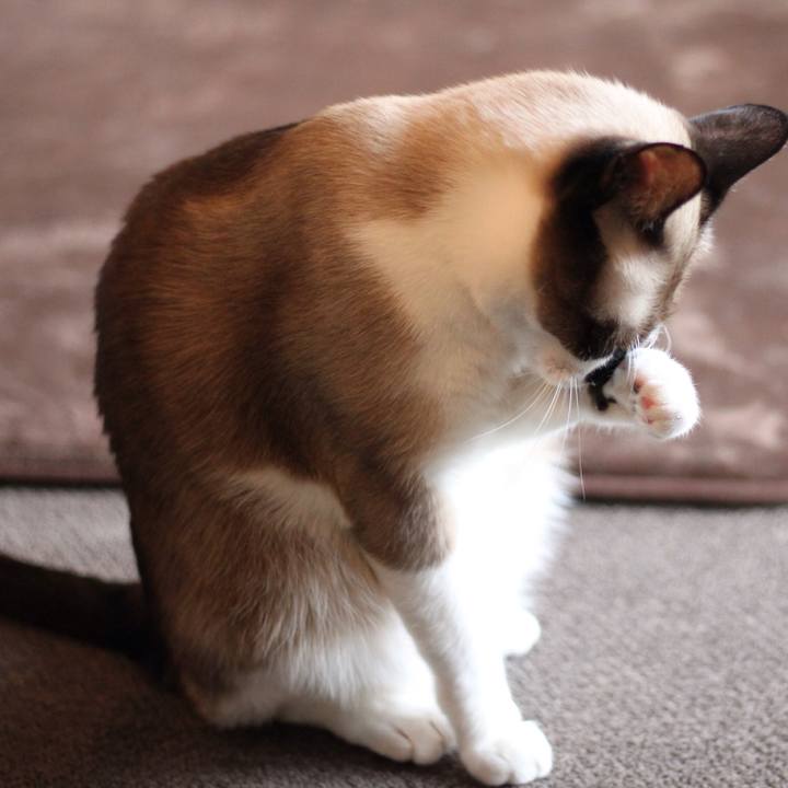 9e659774 3ba7 4782 a311 5c5d4b1134fc