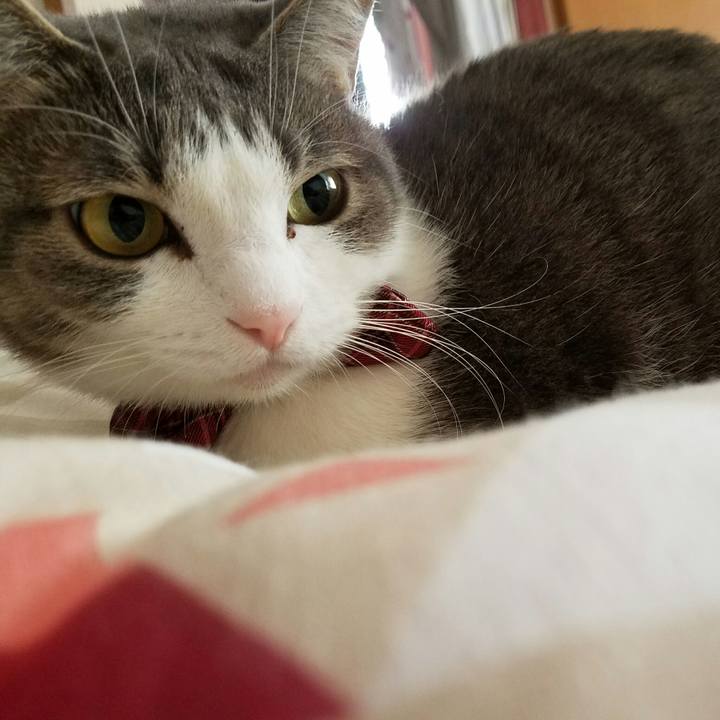 9e65fea0 6d52 40f9 8eaf 65376641e7ff