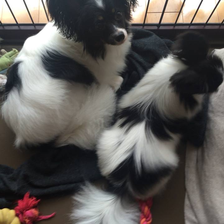 9e679ae5 a6df 499e 8d38 485c2ad284b9