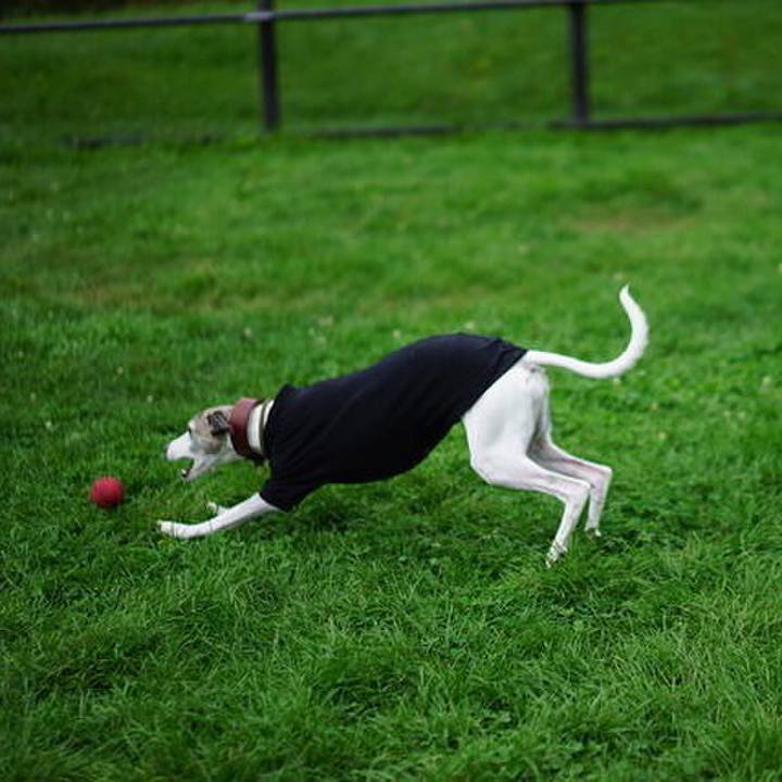 9e67a975 2f28 4d50 9a2b 890c2cdb59c3