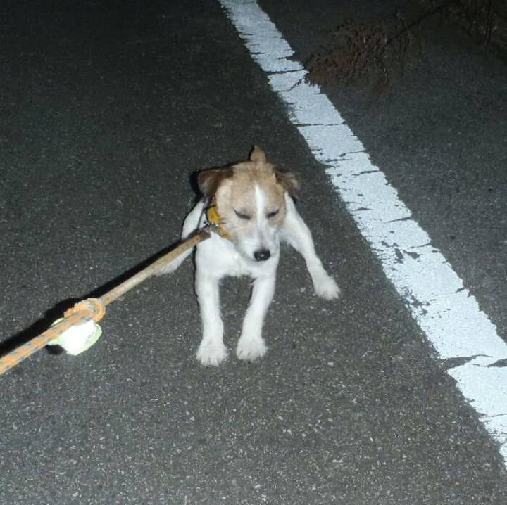 9e67c70c 2127 4207 897e 05939c1b36b5