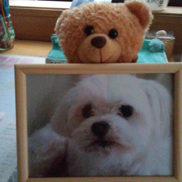 9e680fe4 9631 4439 93e5 202b47abd535