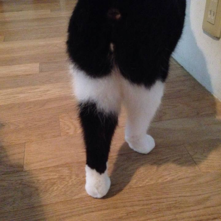 9e689601 0c0b 47fd 8757 5d3a97044cae