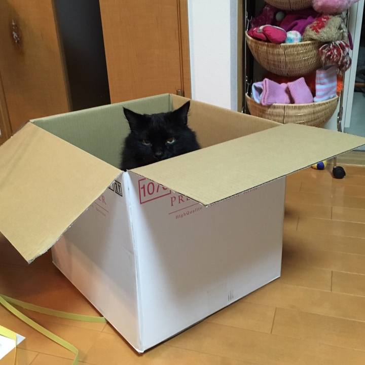 9e69a782 4a98 4e0c bed4 d33a434c7612