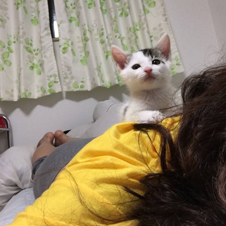 9e6a0db4 2945 414b 8383 e92f279f4cd3