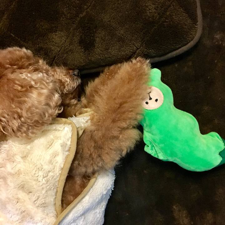 9e6a7681 b708 4bb2 91ce 06be8992e967