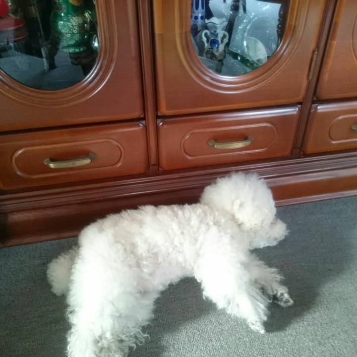 9e6abef0 94b3 4b8d b233 824f6e7aa0f1