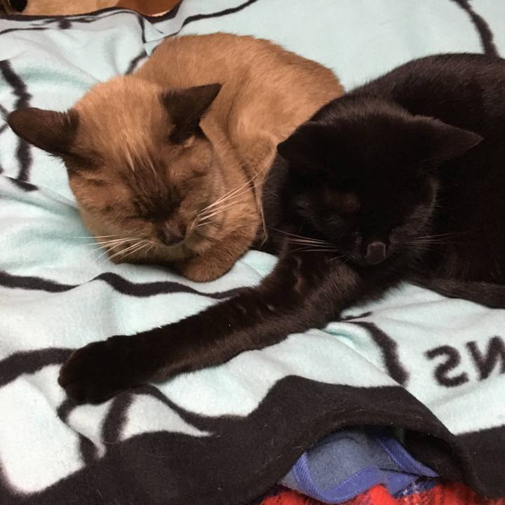 9e6ad0bf d004 4f1d 9186 f55c33703f6a