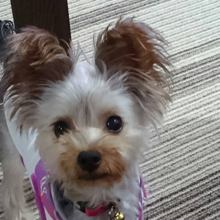 9e6b37d3 4660 4754 b92b 0b551a8b4b11