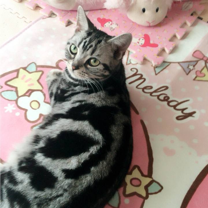 9e6b39a9 67c1 45cf 9f86 56e7b4a5e18c