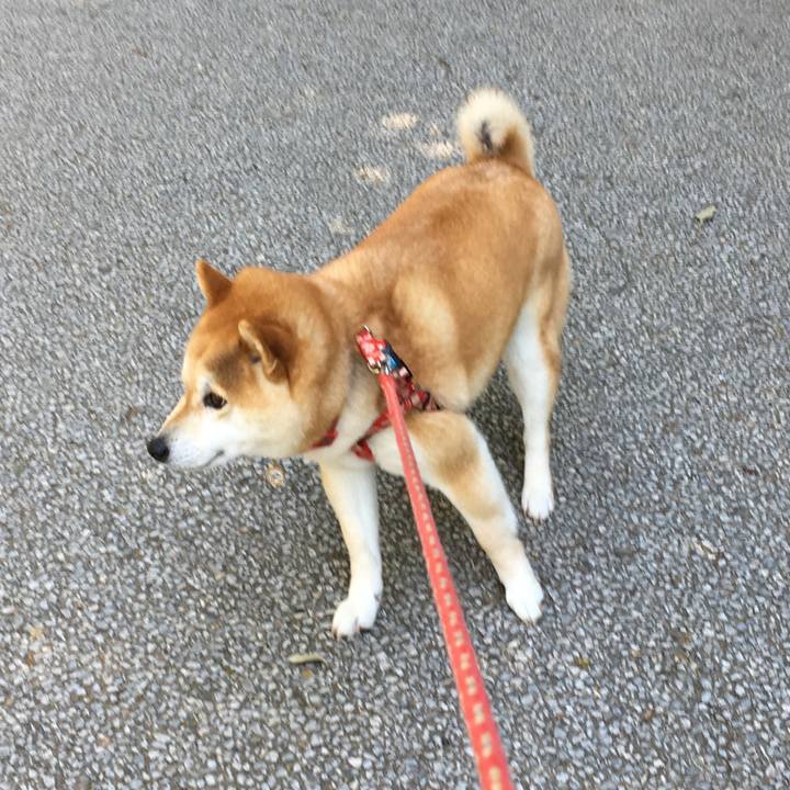 9e6b6110 5826 4366 b91f e13389f1c0e3