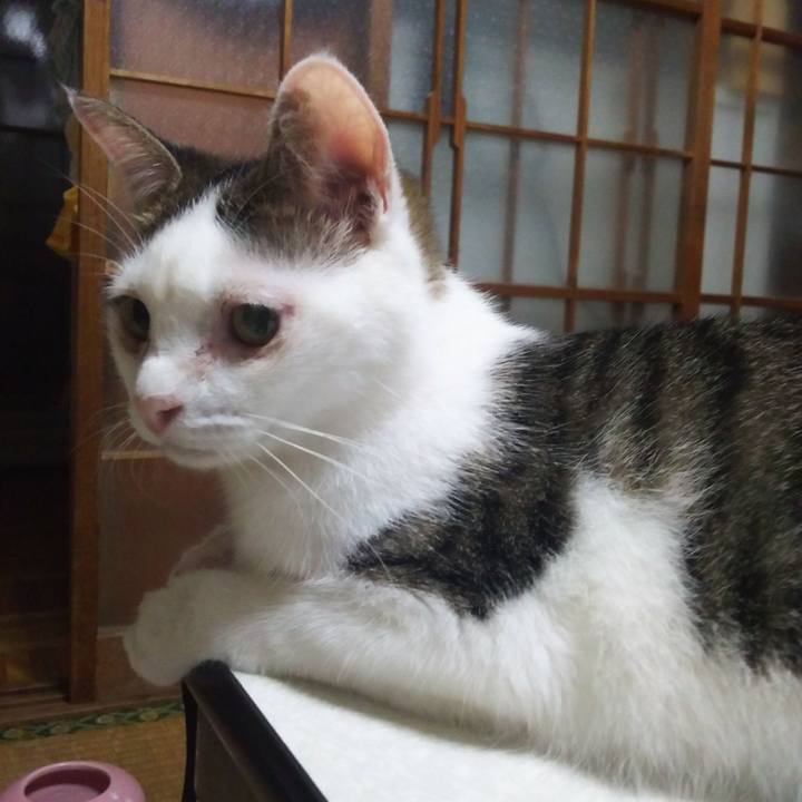 9e6b69e2 56ed 4404 b3f9 5533f996c0ae