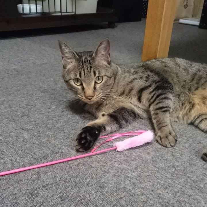 9e6c03ea ef18 457b af71 d8ea6433dc58