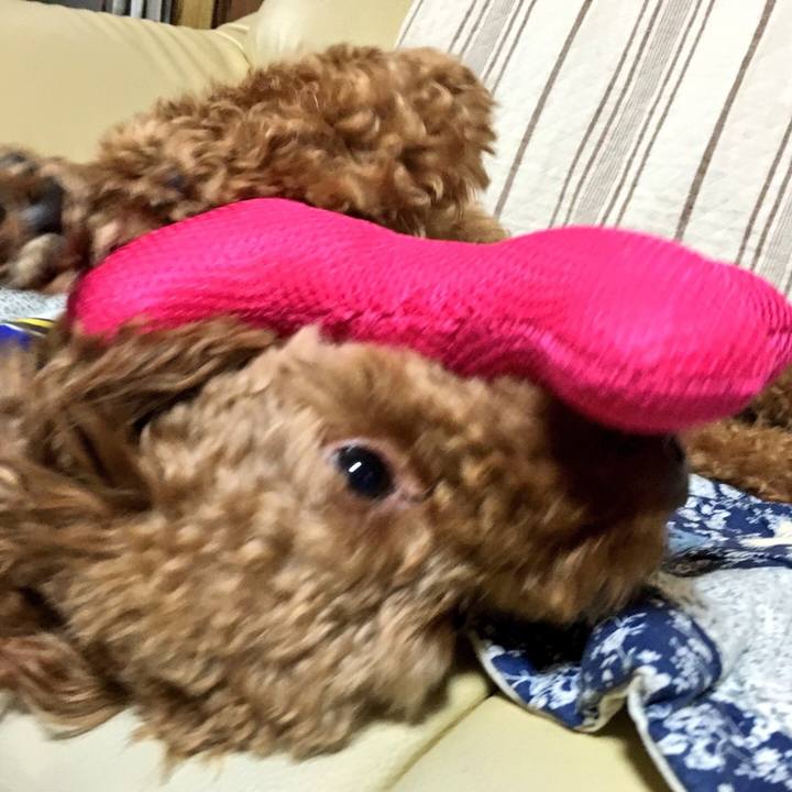 9e6c48a1 5948 4a23 92f6 91c9ff9398fb