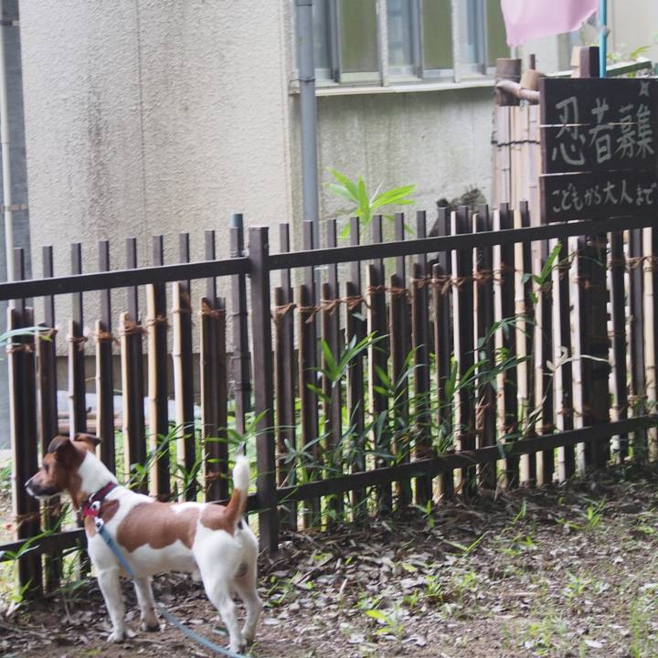 9e6c533d 6090 41ae 85b8 ba8fe3c670ab