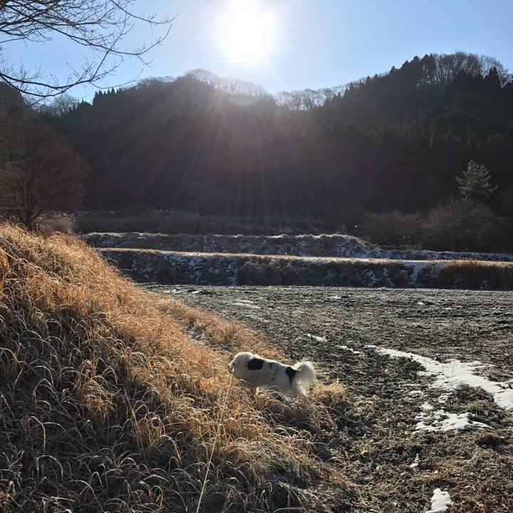 9e6d0fc9 0c1b 47b6 be60 74d29e898ff4