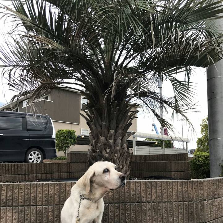 9e6d3d80 5742 4146 bec8 58a5d256c211