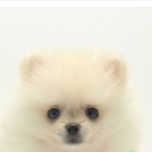 9e6e133e 791c 4a2c 8a55 355c42c2c216