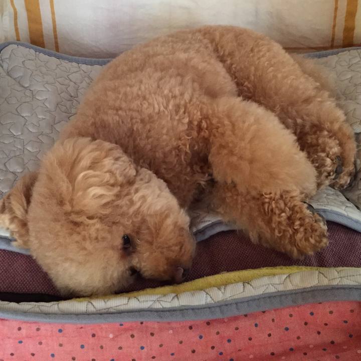 9e6e55fc 2688 45b3 9f71 5df73b3d3179