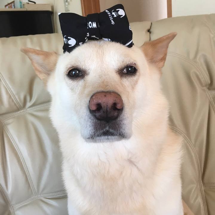 9e6e6844 2d2f 4edd 9ac8 6d4c99a7b389