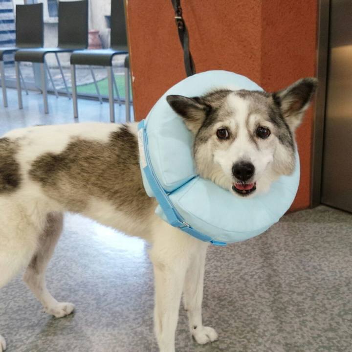 9e6e7831 0c76 483d a953 776f451da2f9