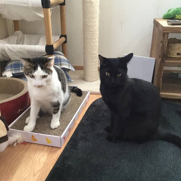 9e6ea900 022e 4135 b634 6c737881cf5d