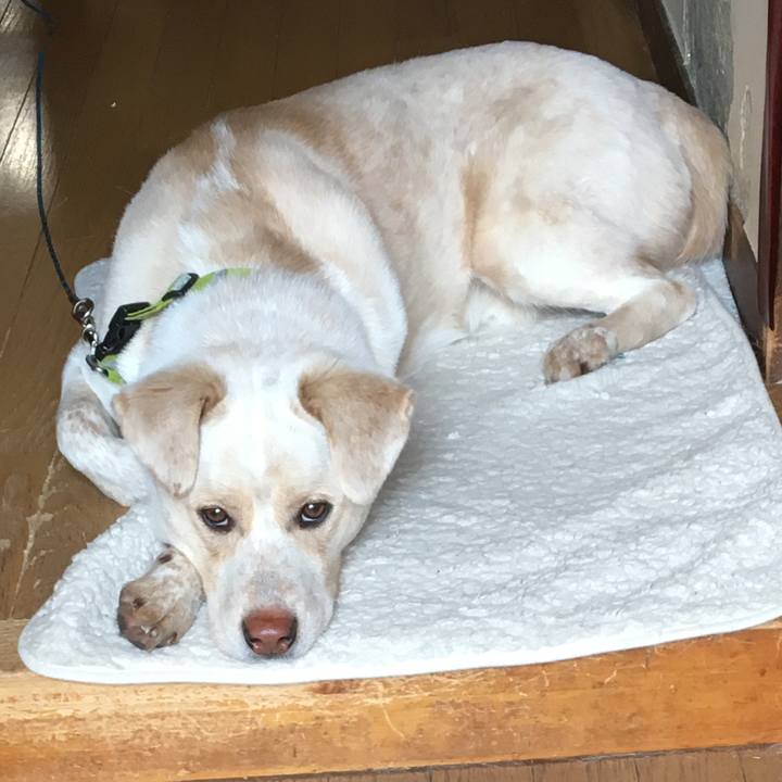 9e7015b5 4413 47ab be8e 40a1e0028908