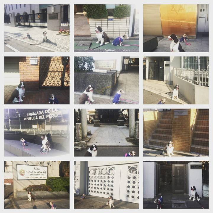 9e70179a 19a2 4250 a0d4 2ec10a0a5575