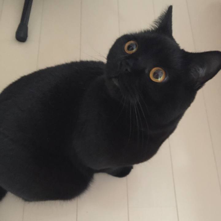 9e70220d aef0 4d68 80a7 3b0d77c2e76d