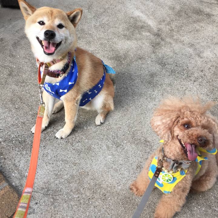 9e705281 7c6c 4e9e 8a1e ab8b9731c8ff