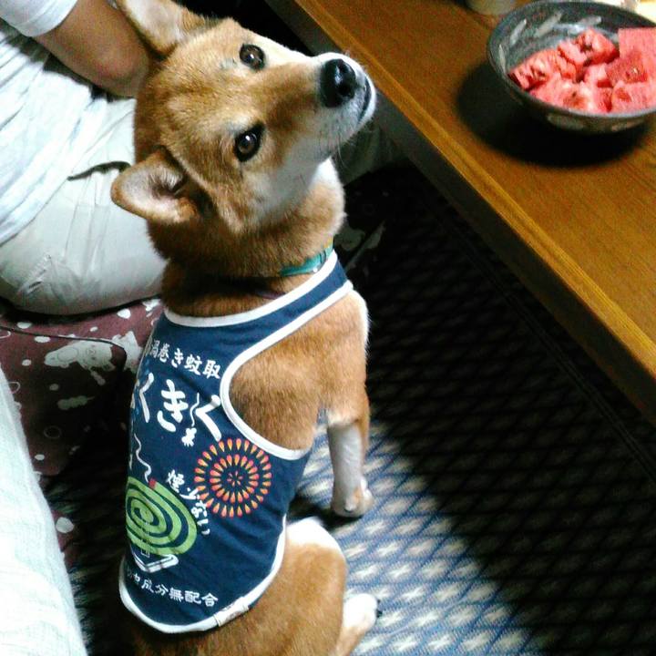 9e707e02 b1bc 472b abfb b656660f918b