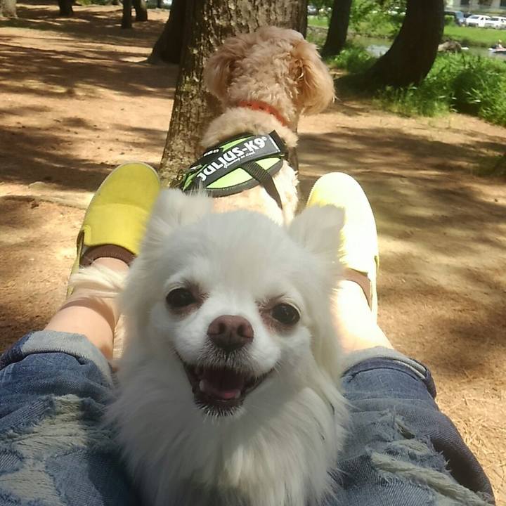 9e7084c7 d51e 426c 9adb 06c1fd4f7dbc