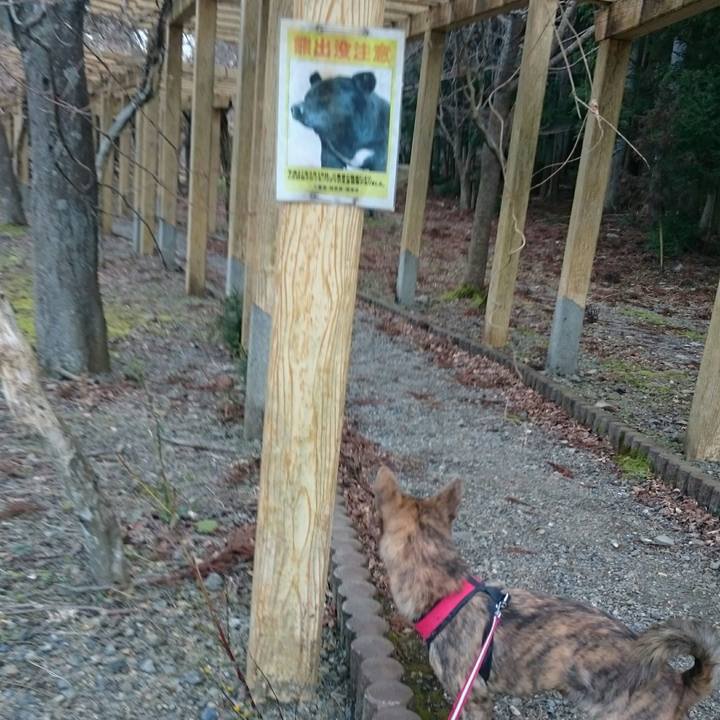 9e715660 9a47 4f8d b115 a768dac208d9