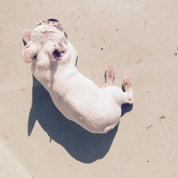 9e72f30b 4932 42fa bc3f a82ac8bd0758