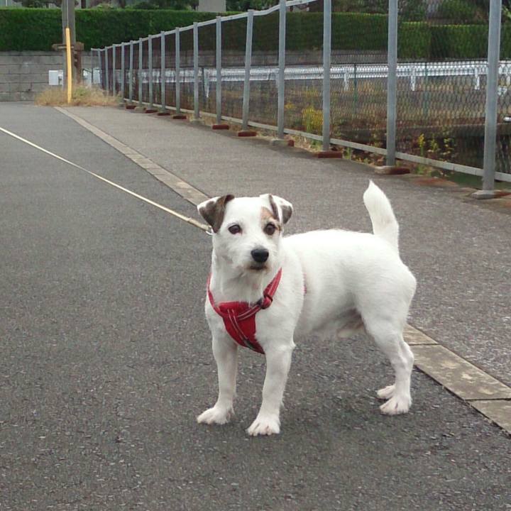 9e7371e8 a78e 4840 b8aa e7a945c68e44