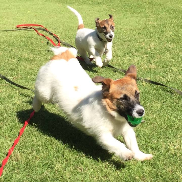 9e738336 feba 4f44 88cc 053c5ddb0671